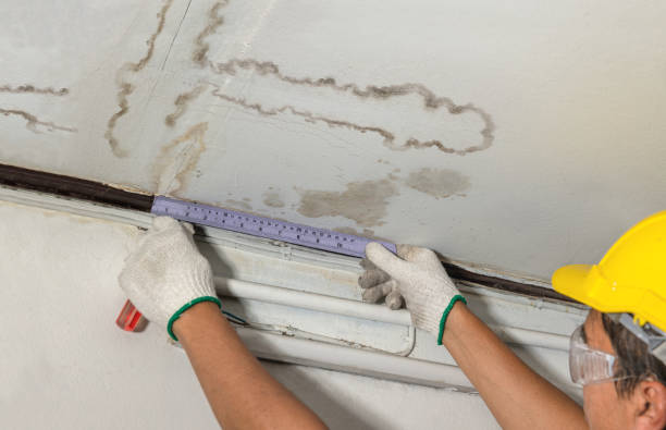 Reliable Mold Remediation contractor in Morgan, UT by Water Damage Irwin